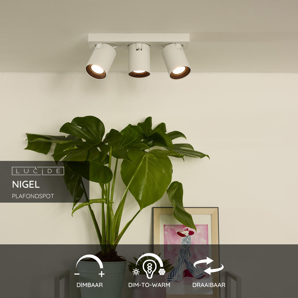 Lucide NIGEL LED takspotlight, 3x5W GU10 dim to warm 2200K-3000K, justerbar aluminium Vit, IP20