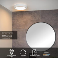 Lucide BRICE LED badrumstaklampa, dimbar 15W 3000K, IP44 rund 24cm Vit modern design