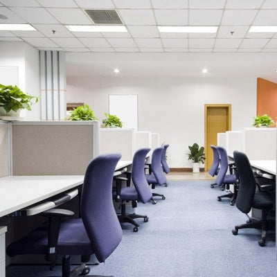 LCB LED Panel 120x60cm Backlit ECO 60W 6600 lumens 6000K Daylight White UGR22 Opal White IP20