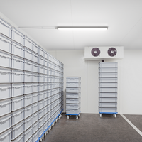 Philips WT060C LED vattentät armatur, 46W 4000K, 5600 lumen, IP66 IK08, 1558mm Grå