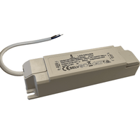 Tsong LED-paneldriver 40W 27-42V 1000mA ej dimbar