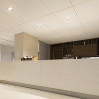 Philips CorePro LED PLL HF 24W 3000K 3200 lumen 2G11 4P lysrör Vit, CE RoHS