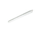 Philips CoreLine WT120C G2 LED vattentät armatur, 30.5W 4000K 4000 lumen, DALI dimbar, IP65 IK08, 1215mm Grå