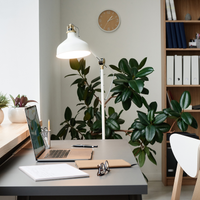 Philips CorePro LED Bulb 10.5W E27 A60 4000K Cool White 1521 lumens non dimmable 230V 300° matte finish