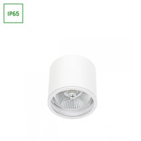 Chloe AR111 GU10 IP65 rund LED-spot utomhus och inomhus Spectrum lampa vit hölje 17000 timmar 250V 120-115 mm