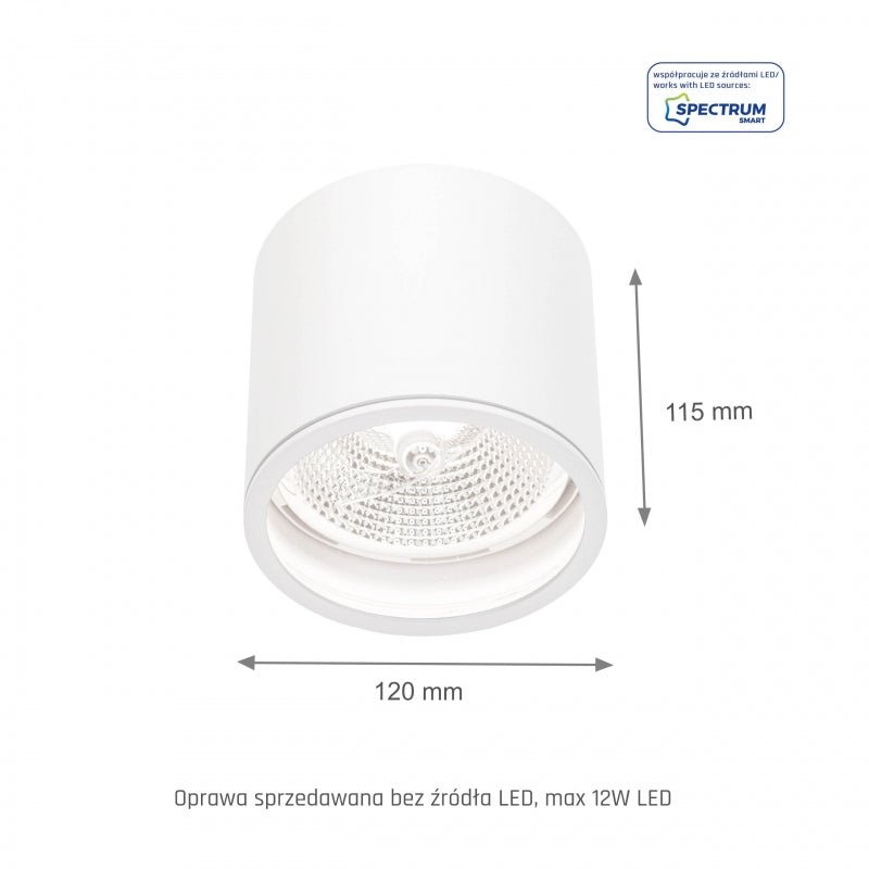 Chloe AR111 GU10 IP65 rund LED-spot utomhus och inomhus Spectrum lampa vit hölje 17000 timmar 250V 120-115 mm