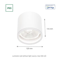 Chloe AR111 GU10 IP65 rund LED-spot utomhus och inomhus Spectrum lampa vit hölje 17000 timmar 250V 120-115 mm